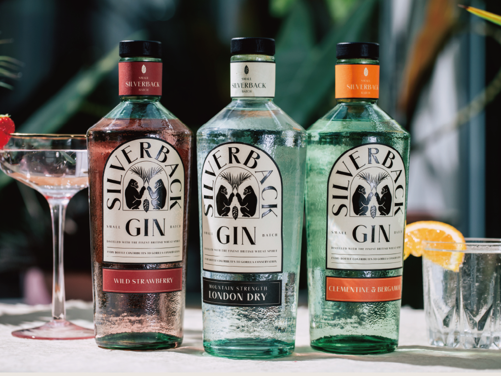 Gorilla Spirits Co. – Signature
