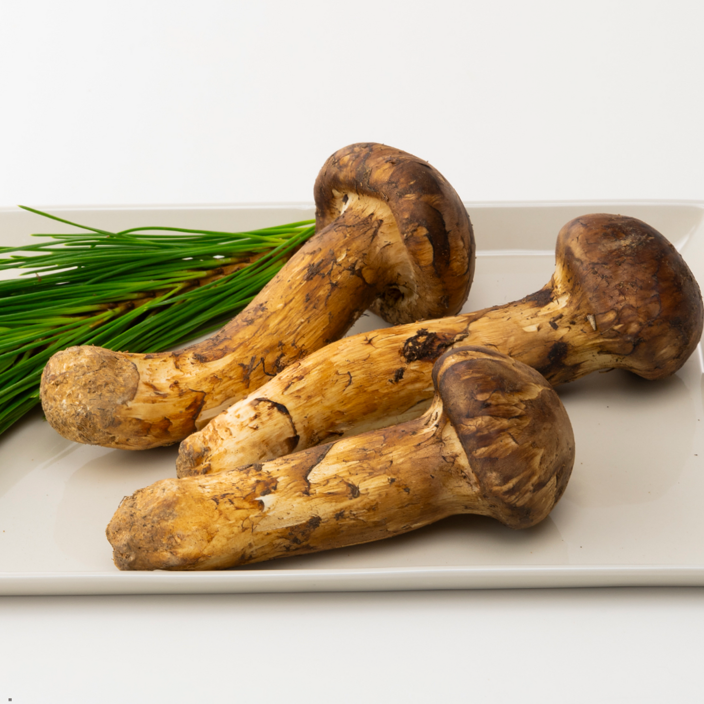 【ブータン・プレミアム7 金乃松茸】 A:プレミアムタイプ