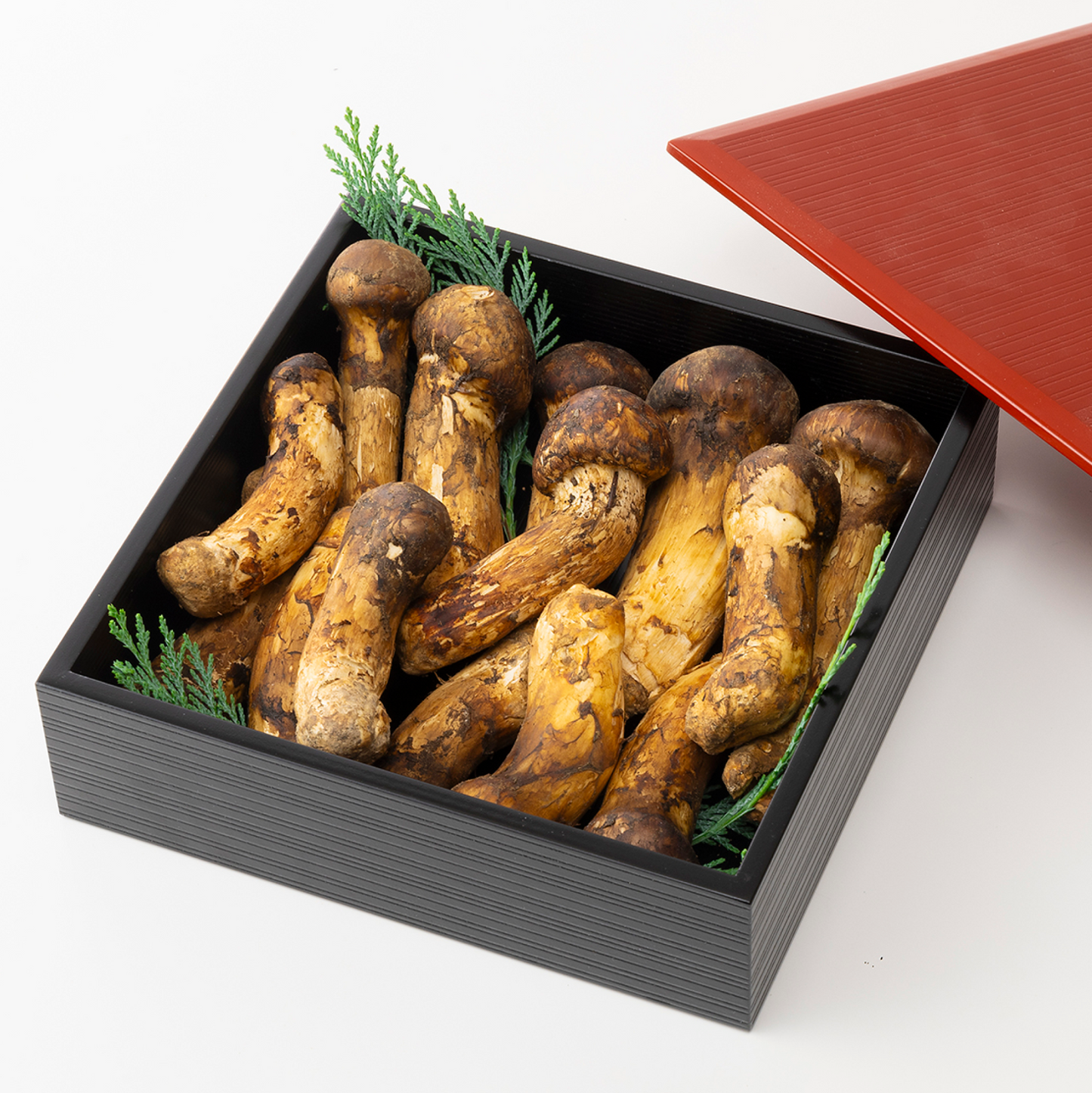 【ブータン・プレミアム7 金乃松茸】 C:ファミリータイプ