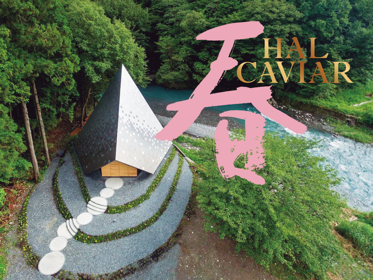 HAL CAVIAR