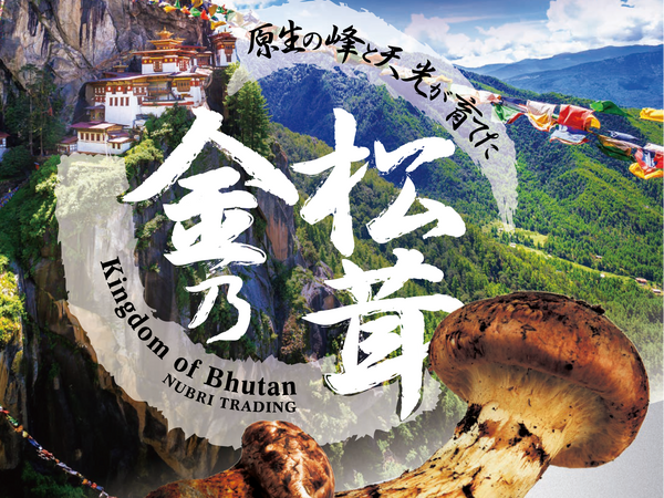 Bhutan Premium 7 Kin-no-Matsutake