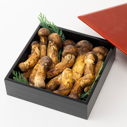 【ブータン・プレミアム7 金乃松茸】 C：ファミリータイプ