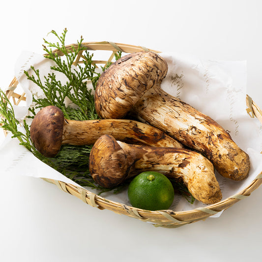 【ブータン・プレミアム7 金乃松茸】ミックス タイプ 100g (3 本前後)