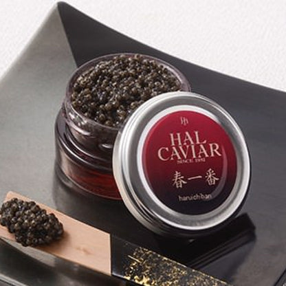 【フレッシュキャビア】ハルキャビア／春一番　30g