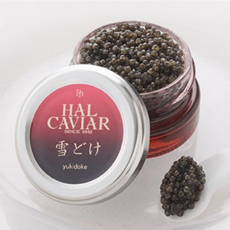 【フレッシュキャビア】ハルキャビア／雪どけ　30g