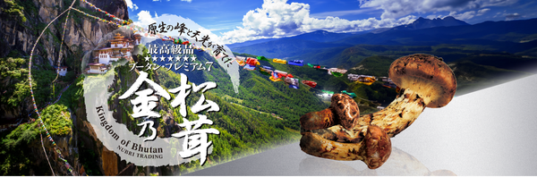 Bhutan Premium 7 Kin-no-Matsutake